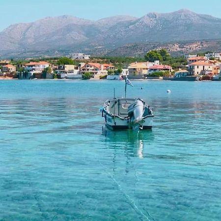 Κατοικία 80 Τ.Μ. Δίπλα Από Την Θάλασσα Στην Ελιά. Elia  Exteriör bild